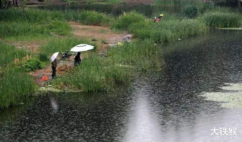 |让大鲫鱼“无处藏身”的五条黄金法则，读懂后大鲫鱼连竿上