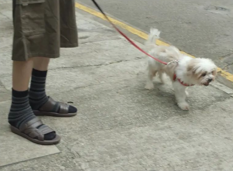 影帝|提名影帝时,他在菜市场管理厕所