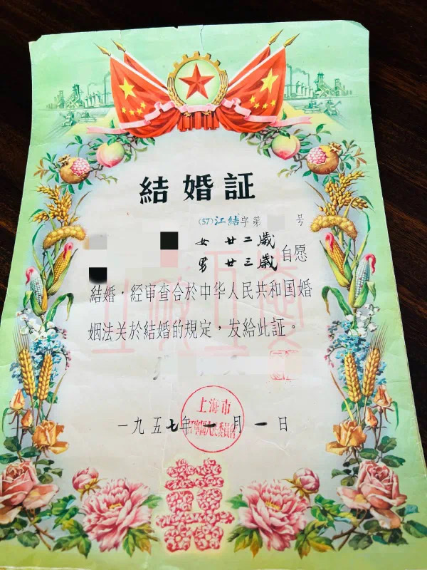 腾讯|奇怪的知识增加了 腾讯初代目企鹅形象