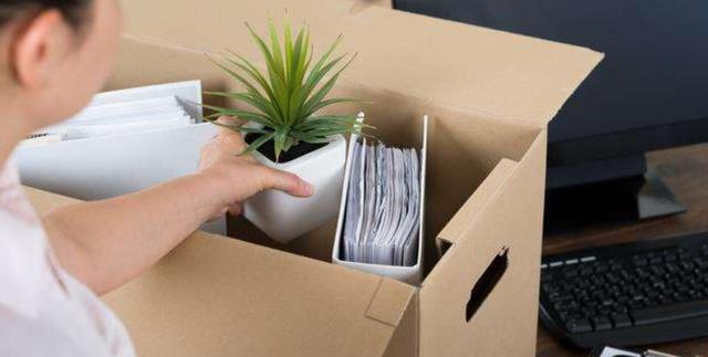 皮裙|辞职时,千万不要和领导说4种话,不然容易吃大亏,断了自己后路