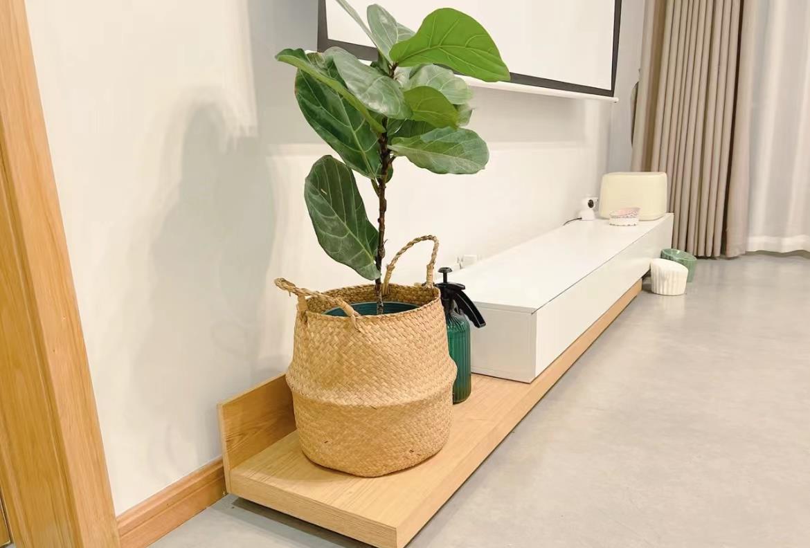 浙江发现一户人家的装修,因太会布置而走红,获得上万人关注