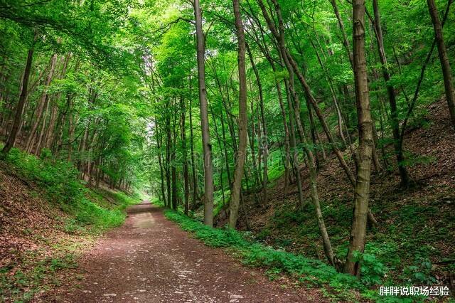 |职场中，拒绝别人的时候一定要干脆利落