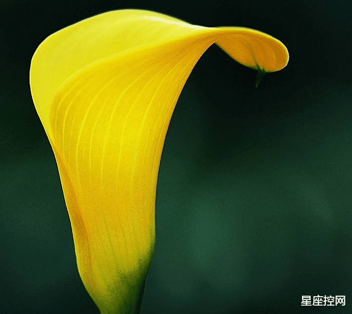 高跟鞋|哪几个月份出生的人,事业上志在必得,虎年开门红,顺利无烦恼