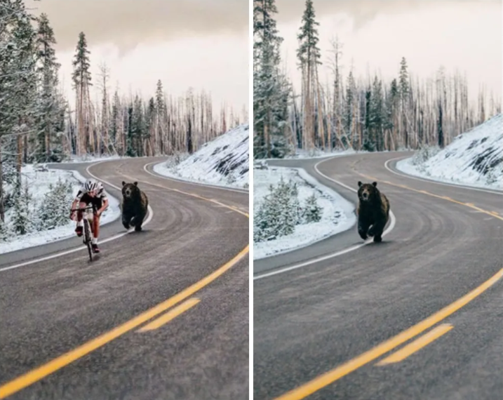 |不要轻信互联网上的一切，尤其是图片