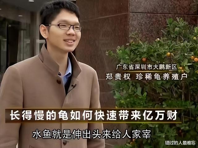 男子花百万买下三只臭龟,别人都笑他傻,谁知道四年后却靠龟翻身