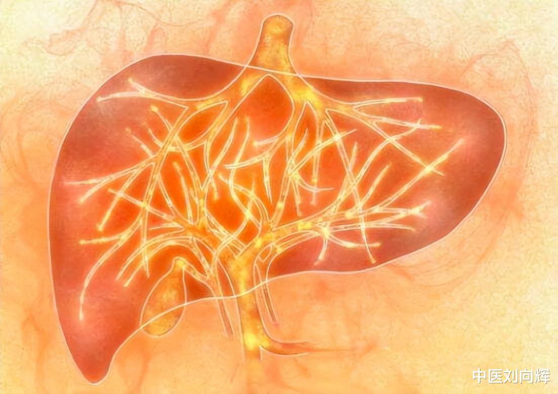 南瓜|调肝不调脾,一场空欢喜,3个中成药,疏肝健脾 肝脾同调 建议收藏