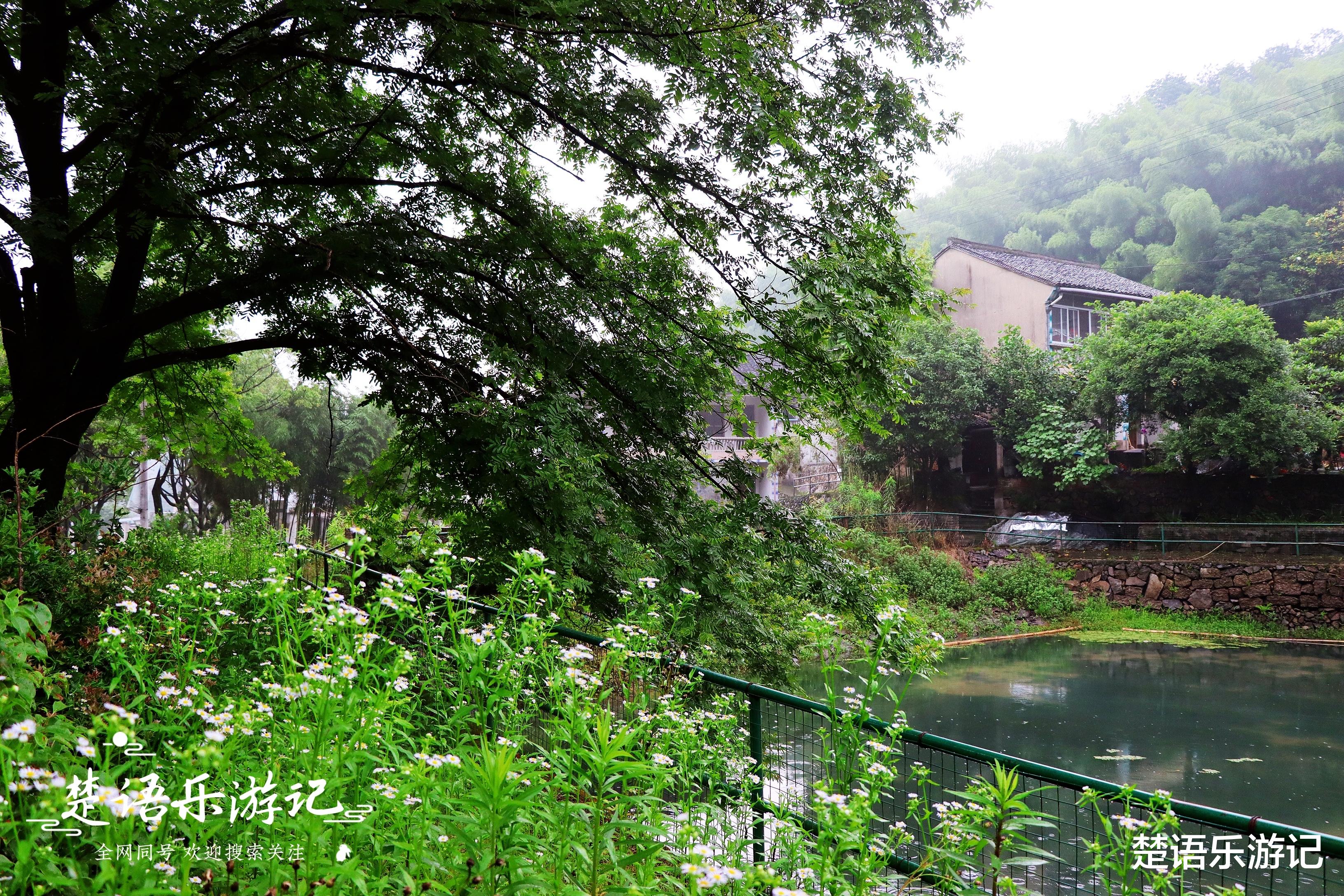 宁波|山涧清溪仿若仙境，客栈美如童话，浙江宁波这个古村真的太美了