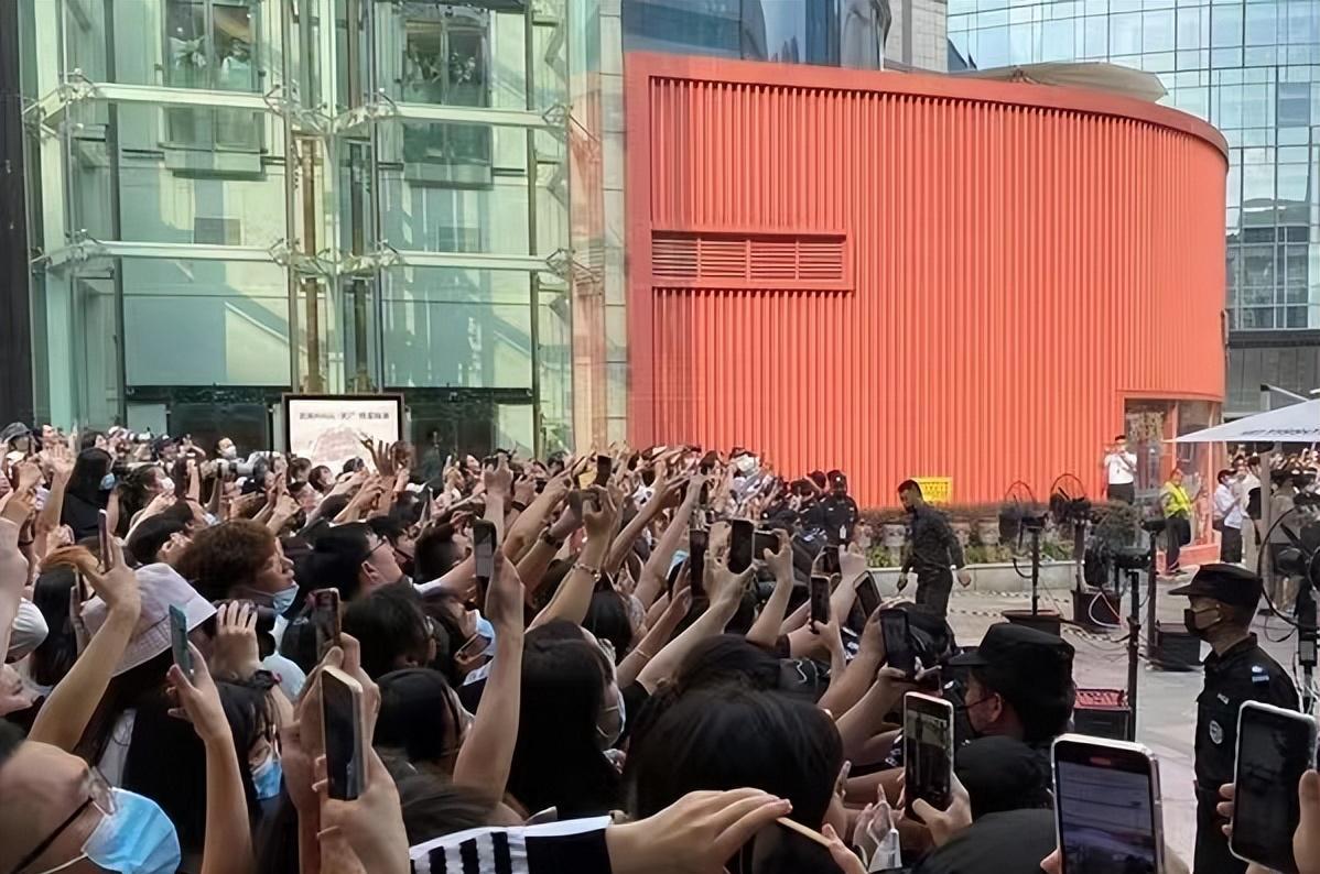 刘亦菲|刘亦菲出活动人山人海,路人顶着40度爬树看女神,国民度独一无二