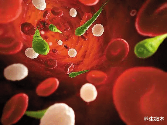 白血病|降低胆固醇对身体有益?通过运动降低坏胆固醇的方法 ,了解一下