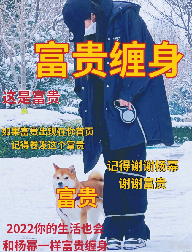 杨幂|杨幂再次现身张大大家，穿高奢侈帮忙遛狗，两人友谊惹人羡慕