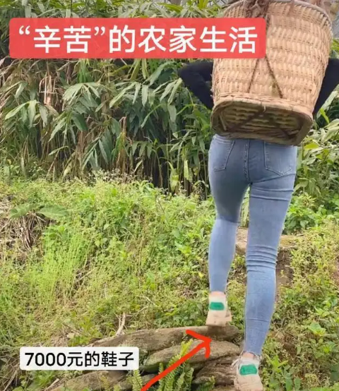 |女网红卖惨被拆穿，一身奢侈品价值不菲，网友：牛爱芳的徒弟