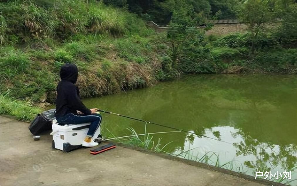 猪肝|别只会钓鱼,试试用猪肝钓甲鱼,完全不一样的体验