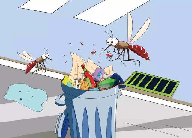 每天了解一个居家小妙招——不花钱的灭蚊妙招,来一个灭一个