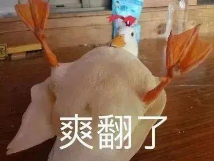 当代年轻人怼人大赏|《当代年轻人怼人大赏》,最雷人的永远是下一句