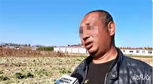 河北老人组团偷菜,引发全网众怒:你倚老卖老的样子,真丑!