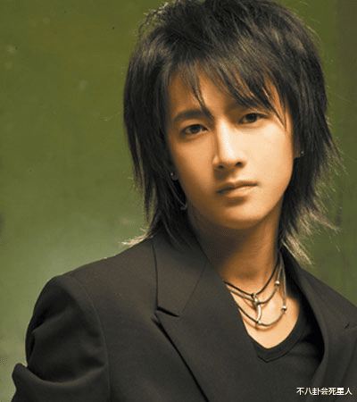 张柏芝|说谎、大话精、降智“自首”，这些明星好美一张脸，好蠢的一张嘴