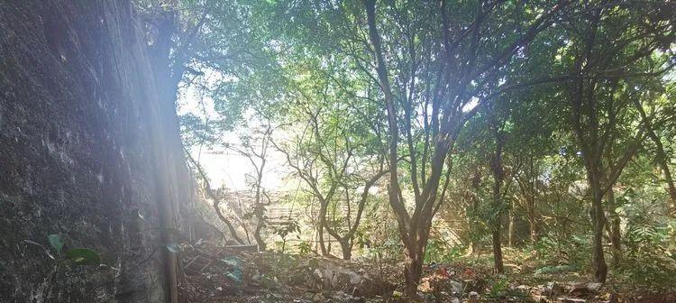 马洲|龙海颜厝纪行:且谈马洲土楼的“方汉鸠宗”