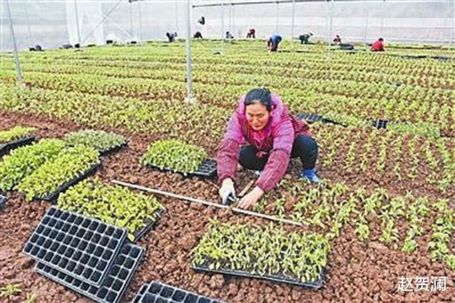 04年西安女孩谈一非洲男友,被查出感染艾滋,后公开承认讲述经历
