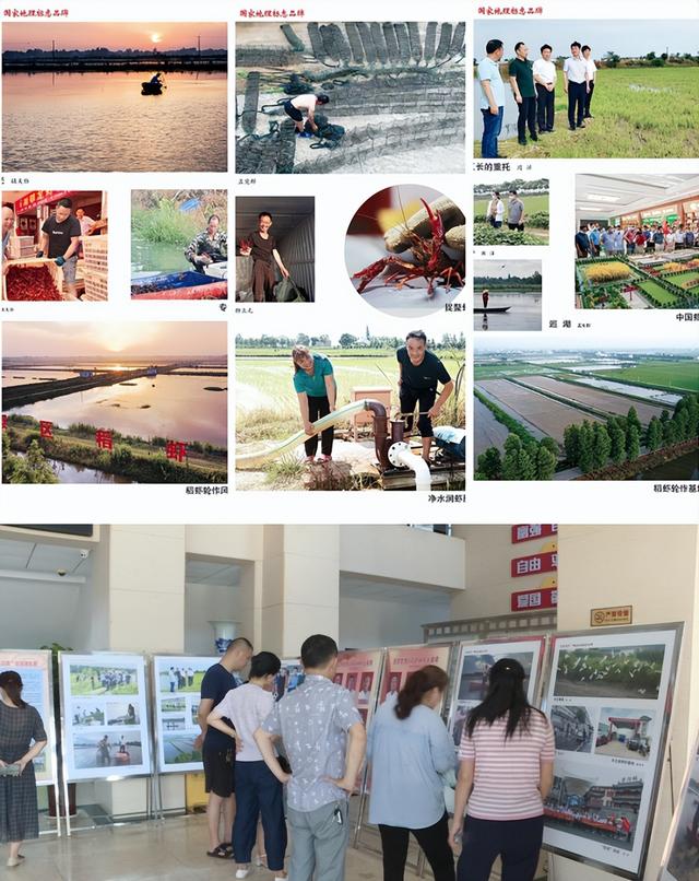 石家庄|屈原管理区举办“屈原龙虾”国家品牌首届摄影作品展
