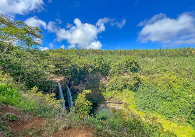漂流|美国夏威夷，皮划艇雨林探险，听流水叮咛，看山林飞瀑，解暑