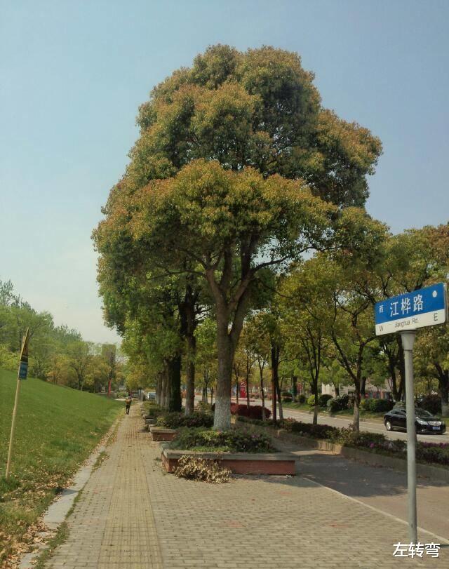 2022年戒掉这十个不好的习惯