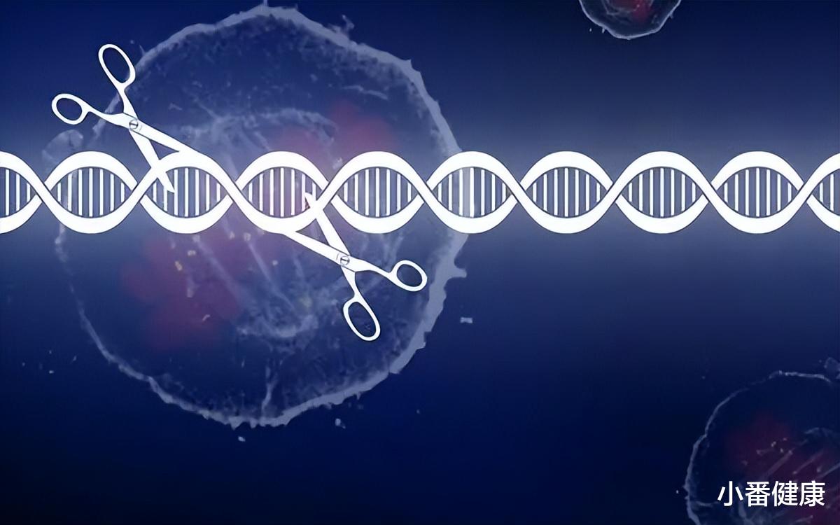 乙肝在研新药PBGENE-HBV，cccDNA抑制剂，尚无同靶点进临床开发