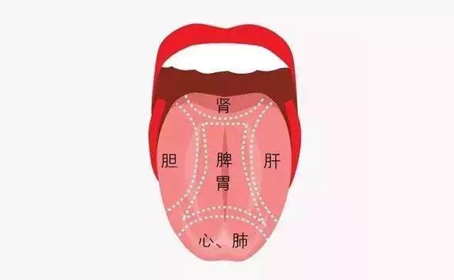 失眠|中医中的舌诊，了解吗