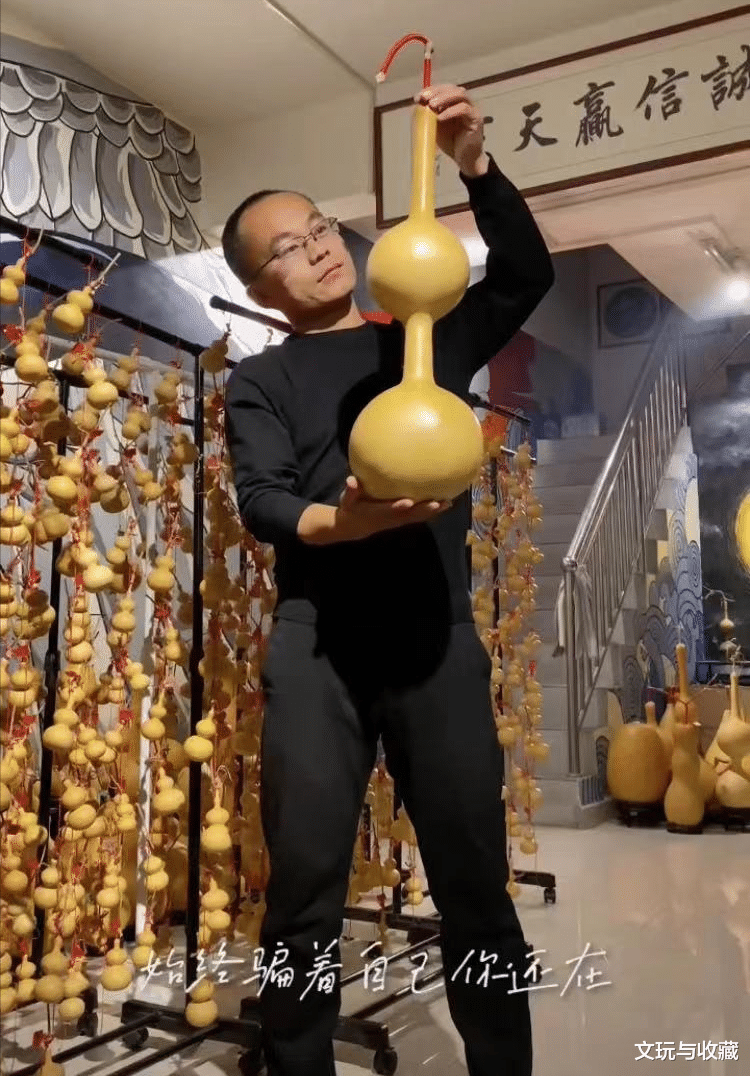 文玩葫芦|深圳大学毕业后回农村种文玩葫芦，一年只能挣30w，怎么办？