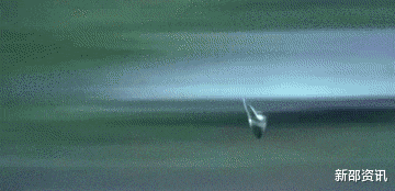 孙晨曦|脸褶子就别硬凹少年感了，5位男星告诉你，啥叫鲜衣怒马少年郎