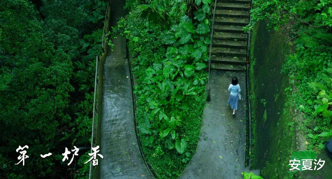 乔琪乔|第一炉香:女学生葛薇龙是为了乔琪乔甘愿做交际花吗?