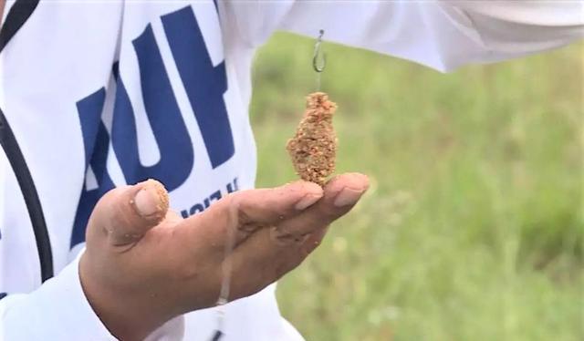 |夏天钓不到目标鱼?试试包食钓法,不另外打窝,不担心小杂鱼闹钩