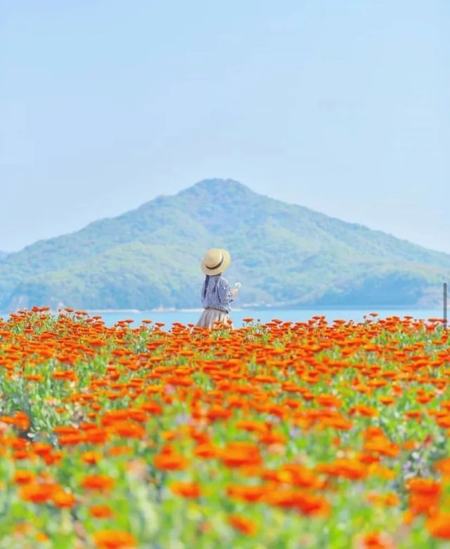 宫崎骏|日本爸爸把女儿拍成宫崎骏动画，治愈无数人，每天都有上万人催他晒娃！