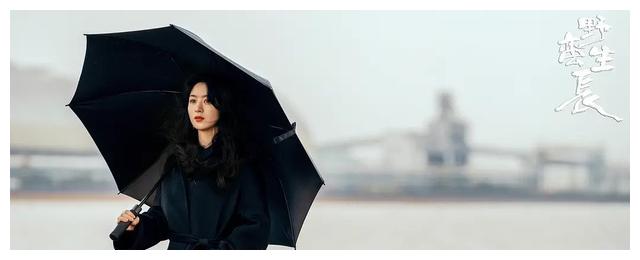 电视剧|36集电视剧《风吹半夏》即将播出，8位实力派倾情出演，值得期待