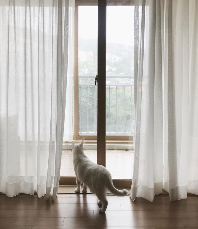 夫妻俩坚持丁克,129不多添置一件家具,沙发也不要,生活很随心