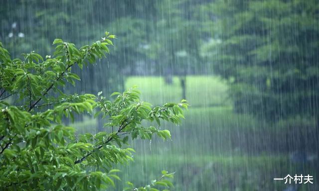 明日入伏,今年是公伏还是母伏?入伏下雨好不好?俗语这样说