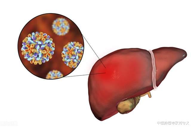 附子|分享一味抗癌中药——马鞭草,生于田野山坡,清热解毒、活血消肿