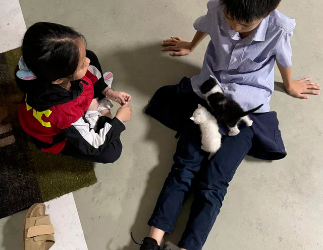 孙俪|顶流女星隐退2年，原来是带娃做这件事！网友：这个热搜我给100分