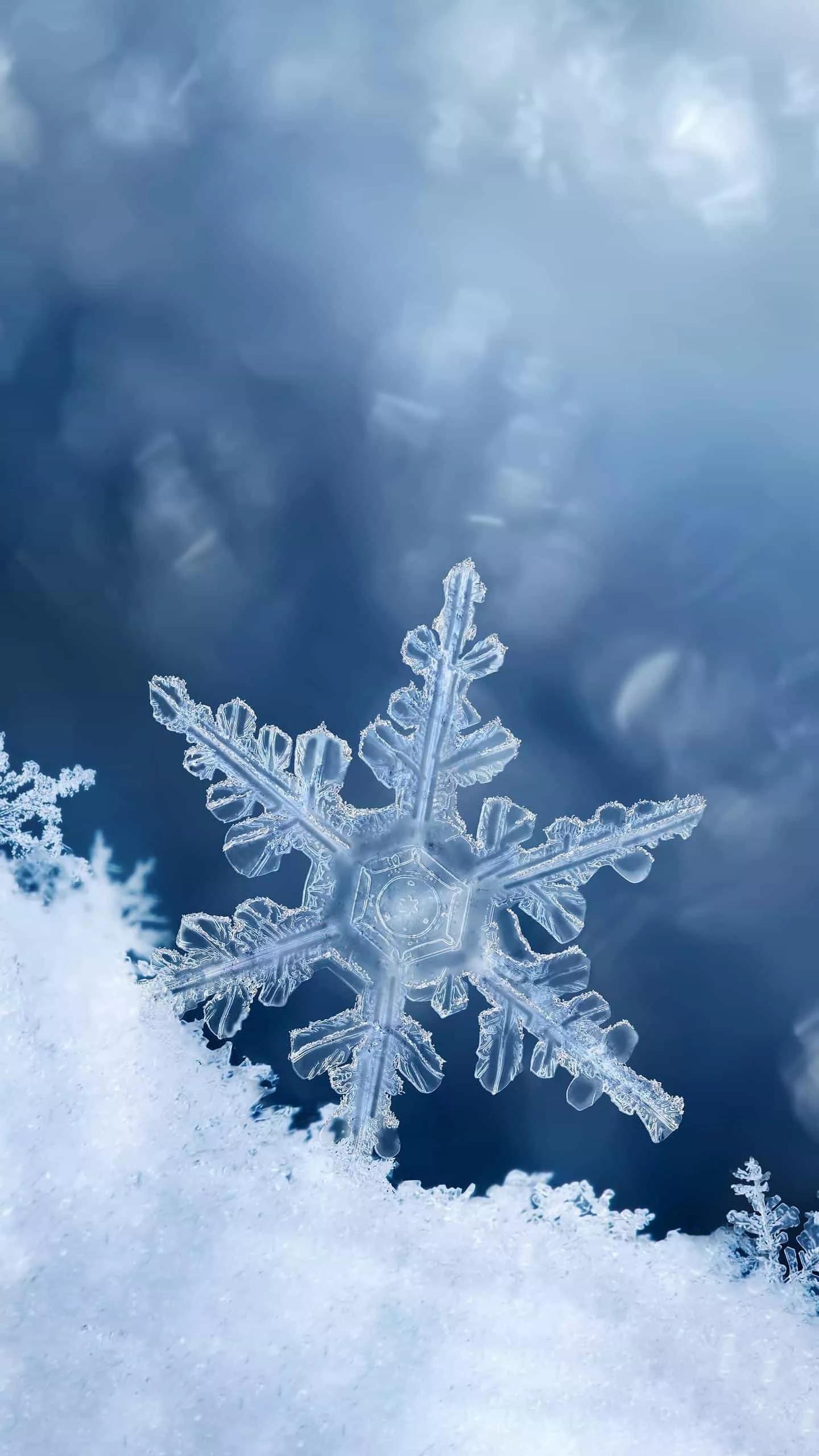 |微小说：副总阳了