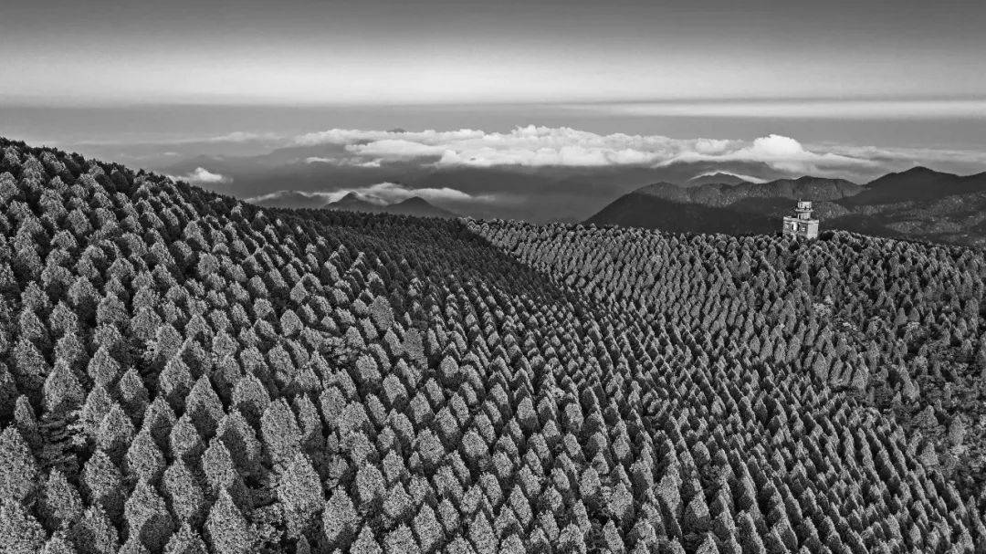 重庆|一起点亮,丽水山景