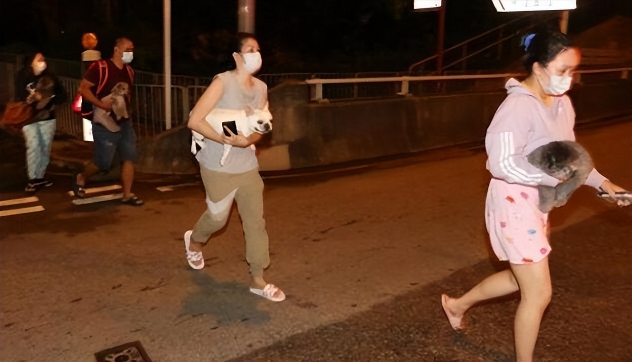 林青霞|“潇洒贵妇”林青霞：18个佣人10只看门狗，厨师仅4年满头白发？