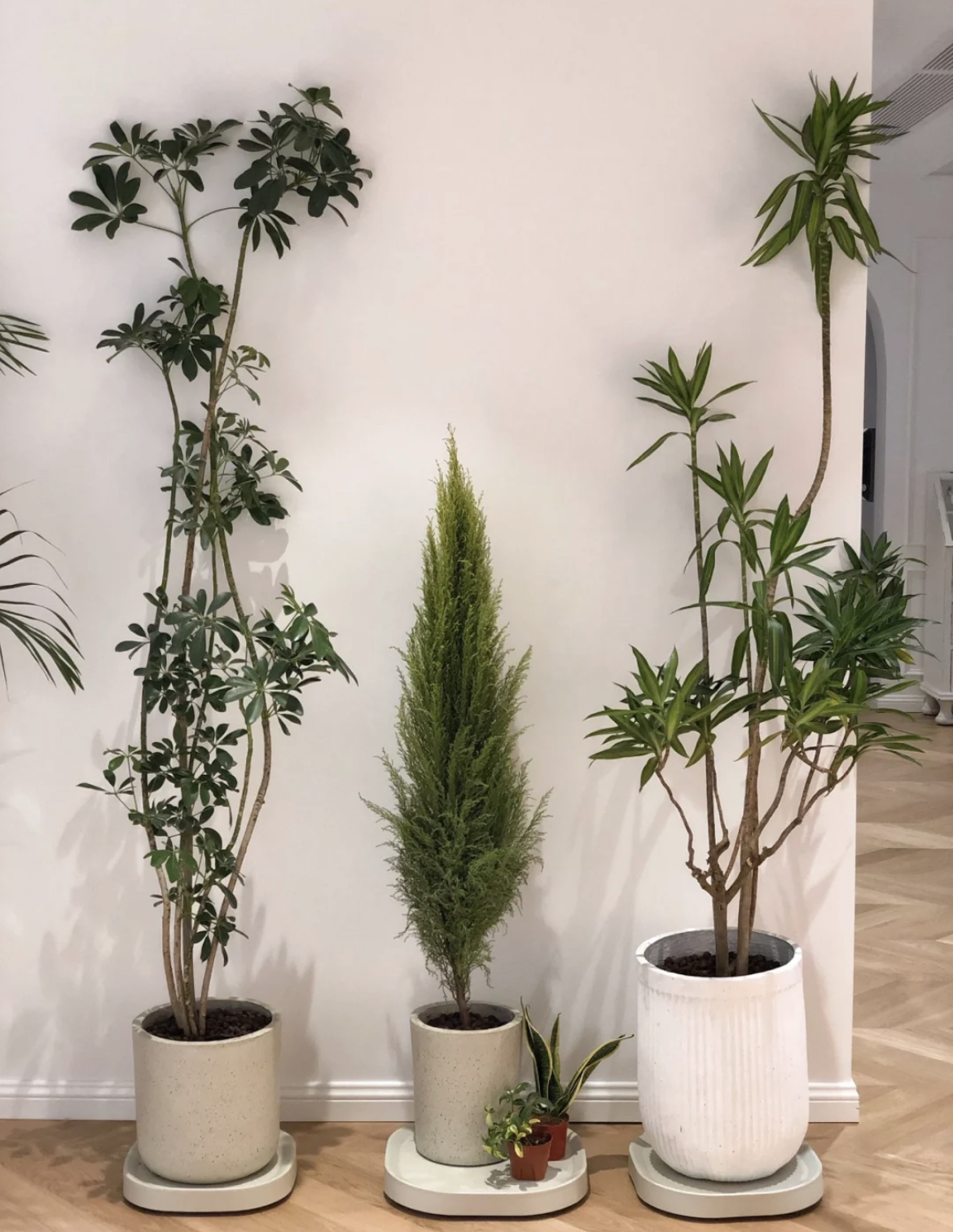 不费啥心思,却很妙的10个装修设计,每一个都想照抄!