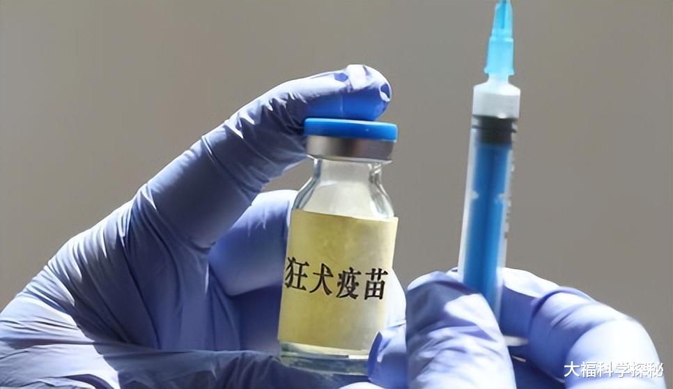 病毒才是地球的主人,列举世界五种超强病毒,或可改变人类命运