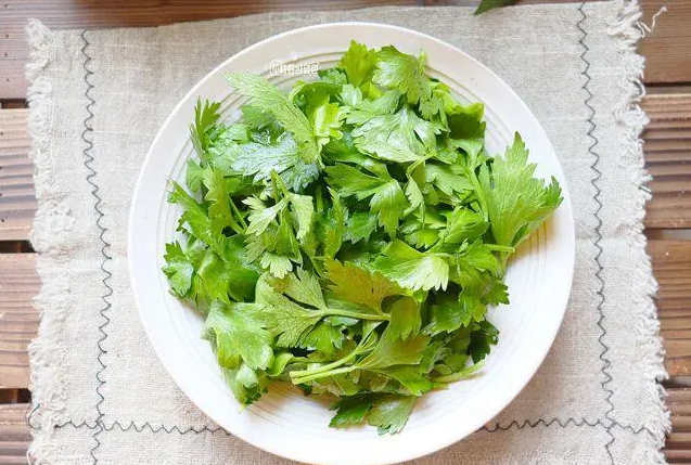 妇科病|吃芹菜为什么不吃叶子?或许很多人还不清楚,看完记得转告爸妈