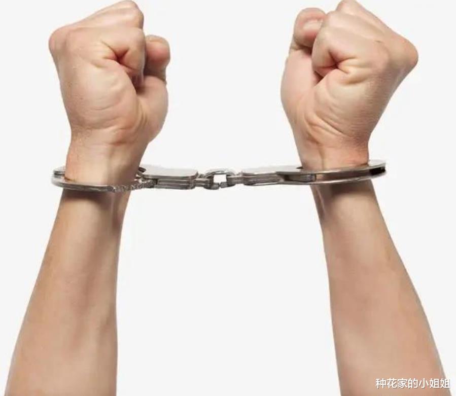 冤不冤!男子在自家地投毒玉米粒致9羊死,赔偿23600元,刑期一年零六个月!