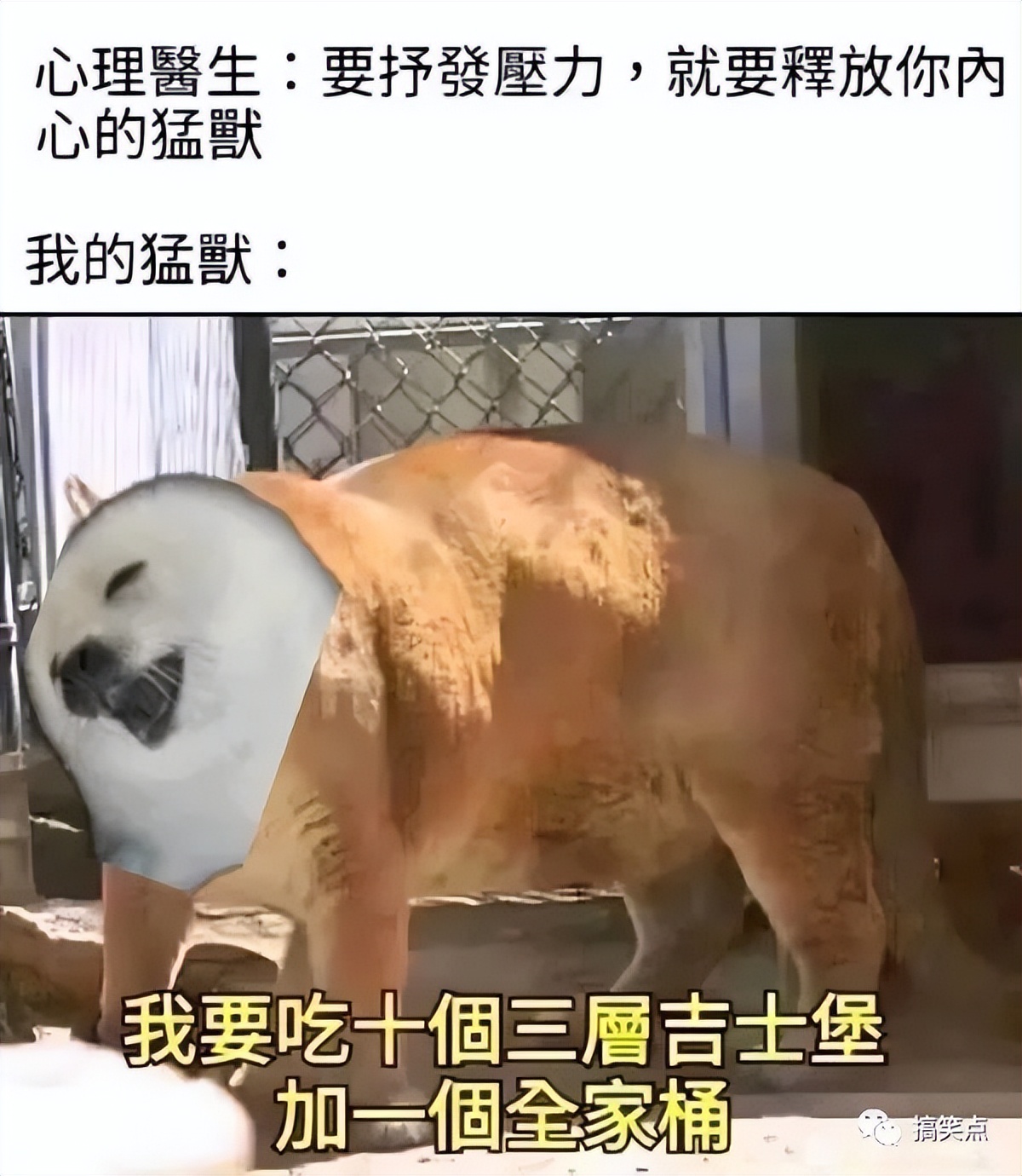 梗图迷因:病床上的病人去哪了?