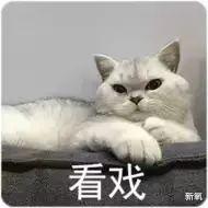 殷世航|小猪先生婚礼嘉宾阵容强大，夺笋网友：看你怎么一见钟情