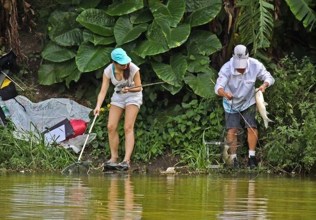 |钓到鱼不拿走又不吃，为何要去钓？钓鱼的意义又是什么