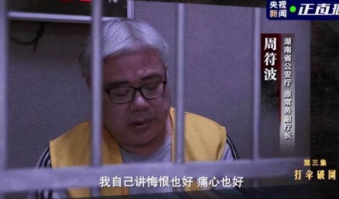 湖南“文三爷”覆灭记:被抓后想用2千万脱罪,家中藏92捆现金