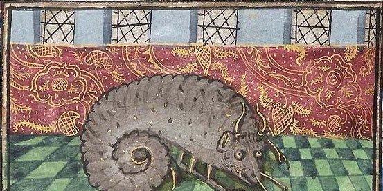猫鱼,蜗牛鸡?中世纪画里的动物都神马玩意?看得人好上头!
