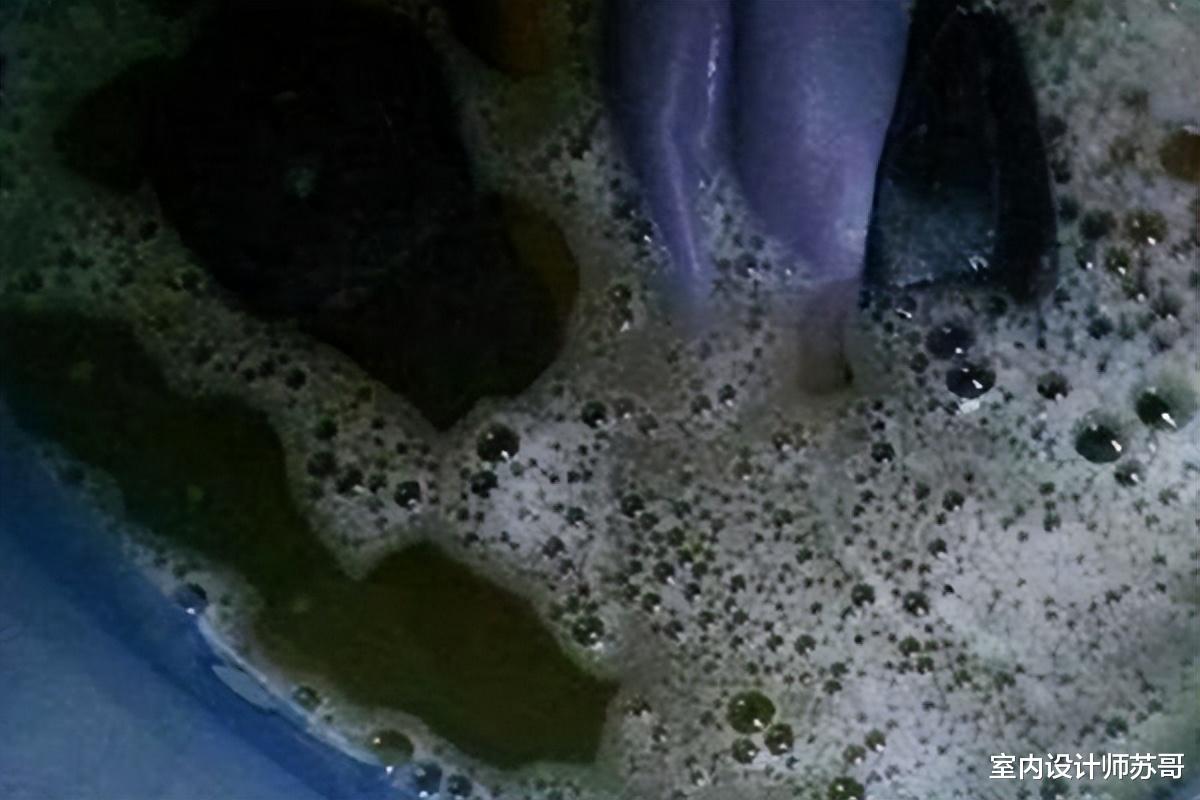 窗帘脏了还用“洗衣机洗”？若不是保洁阿姨提醒，我还会一直做错